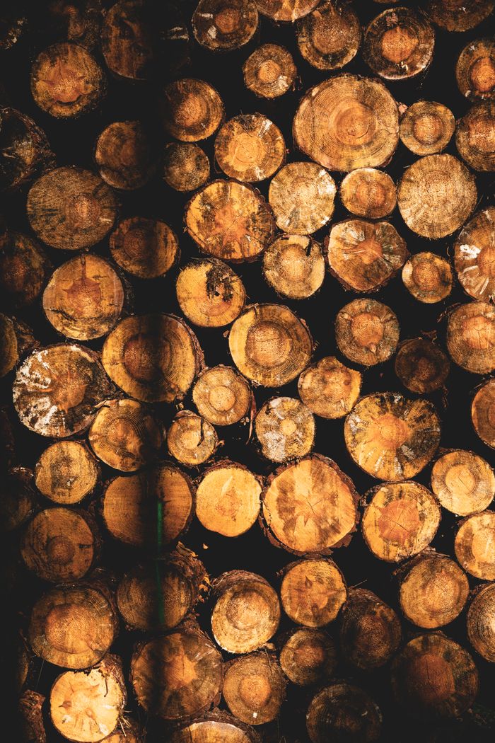 High-resolution photo of neatly stacked tree logs showing intricate wooden patterns.