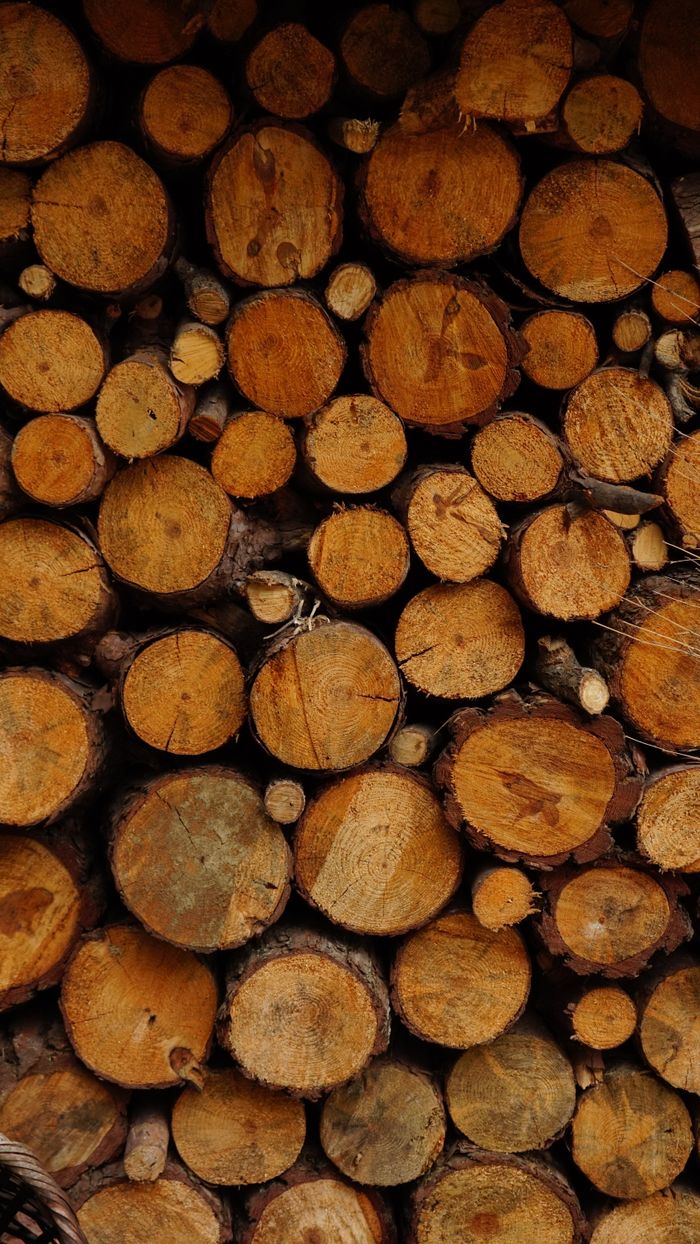 Services Closeup of stacked firewood logs highlighting texture and natural patterns for rustic home decor ideas.