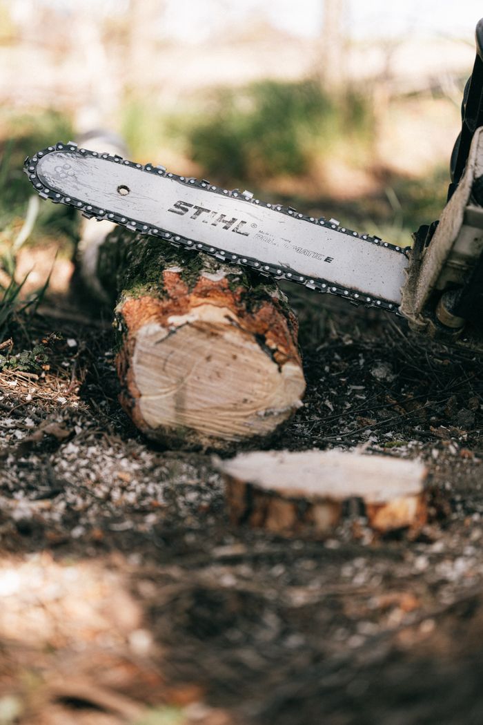 Home Close-up of a chainsaw cutting a tree log outdoors, highlighting wood texture.
