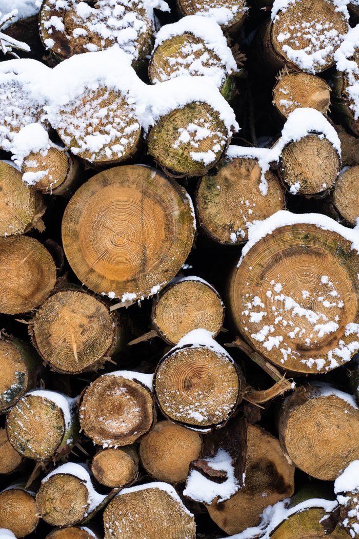 Vertical stack of snow-dusted logs in a winter forest setting.